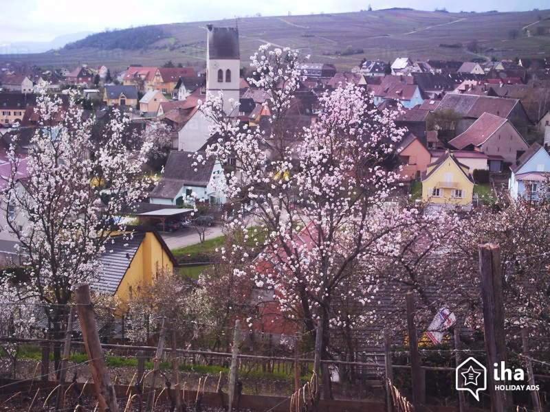 "Les Amandiers" Mittelwihr Luaran gambar